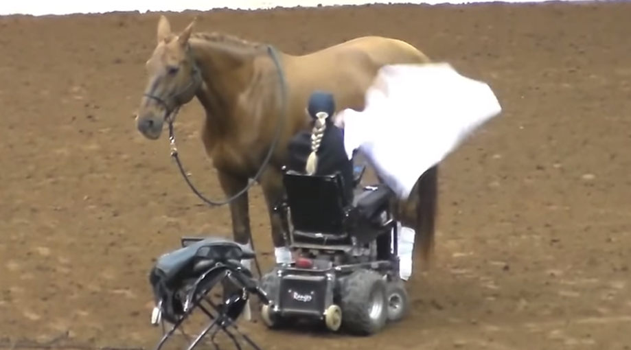 Horse approaches woman in wheelchair Moments later, the entire crowd