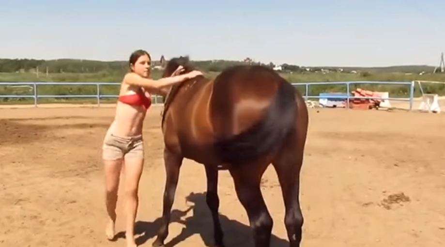 Considerate Horse Helps Young Woman Trying To Get On His 