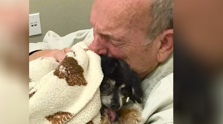 80-year-old man dies after losing his beloved dog for 16 years ...